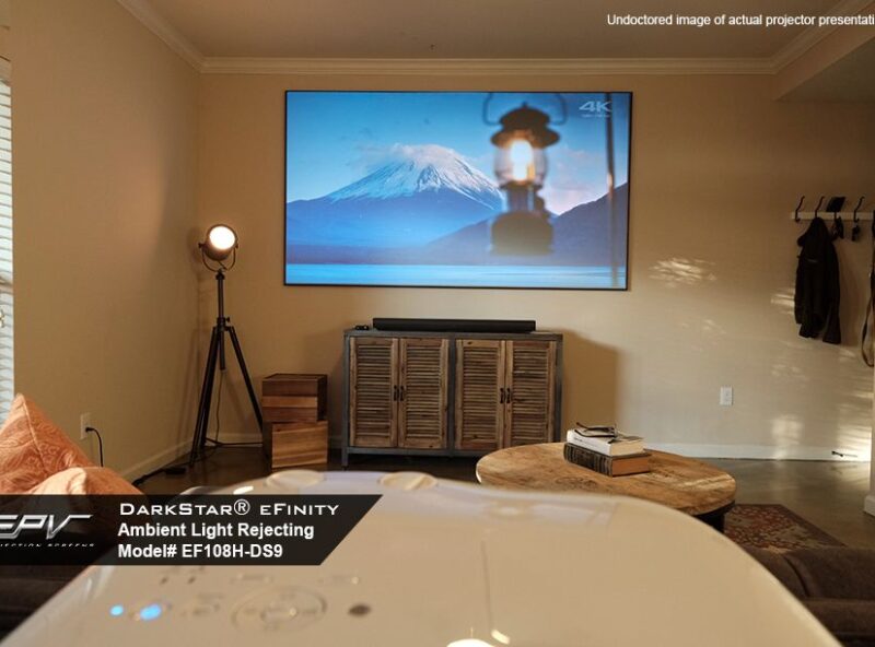 ds_efinity_application02 DarkStar® eFinity