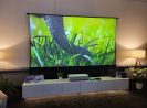 Projection screen displaying a vibrant nature scene with greenery and an elephant trunk.