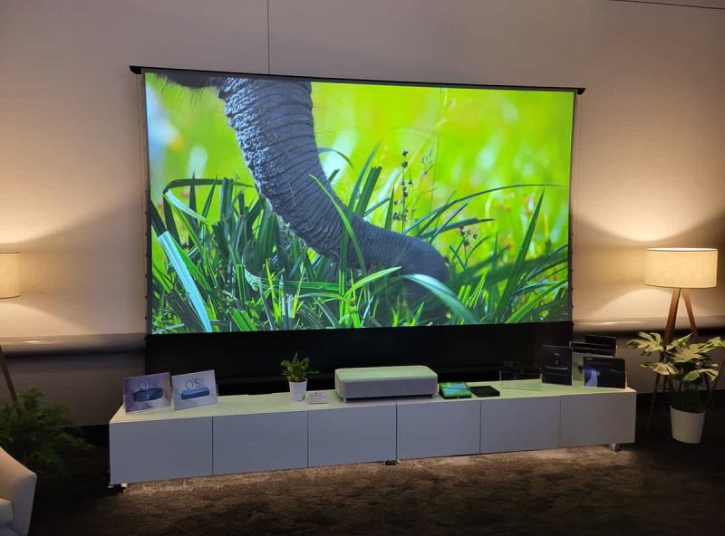 Projection Screen for Custom Installations Projection screen displaying a vibrant nature scene with greenery and an elephant trunk.