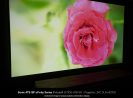 SonicAT8_ISF_App02